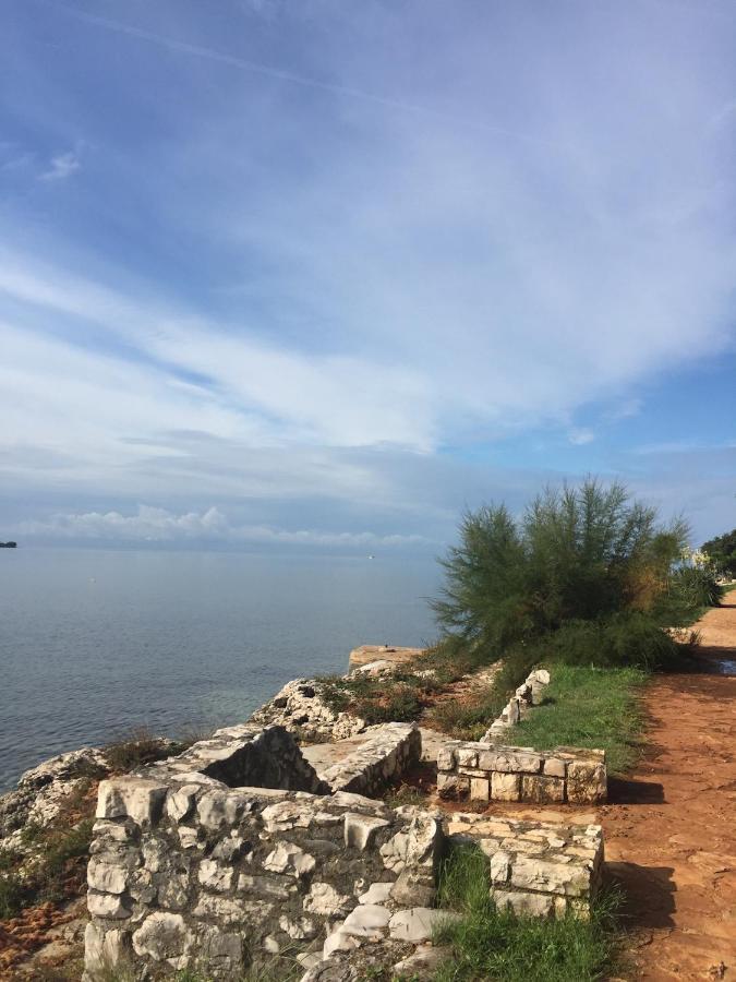 Villa Eva Karigador Novigrad Istria Exteriör bild