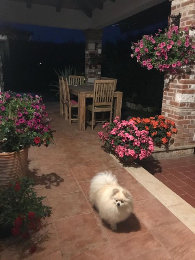 Villa Eva Karigador Novigrad Istria Exteriör bild