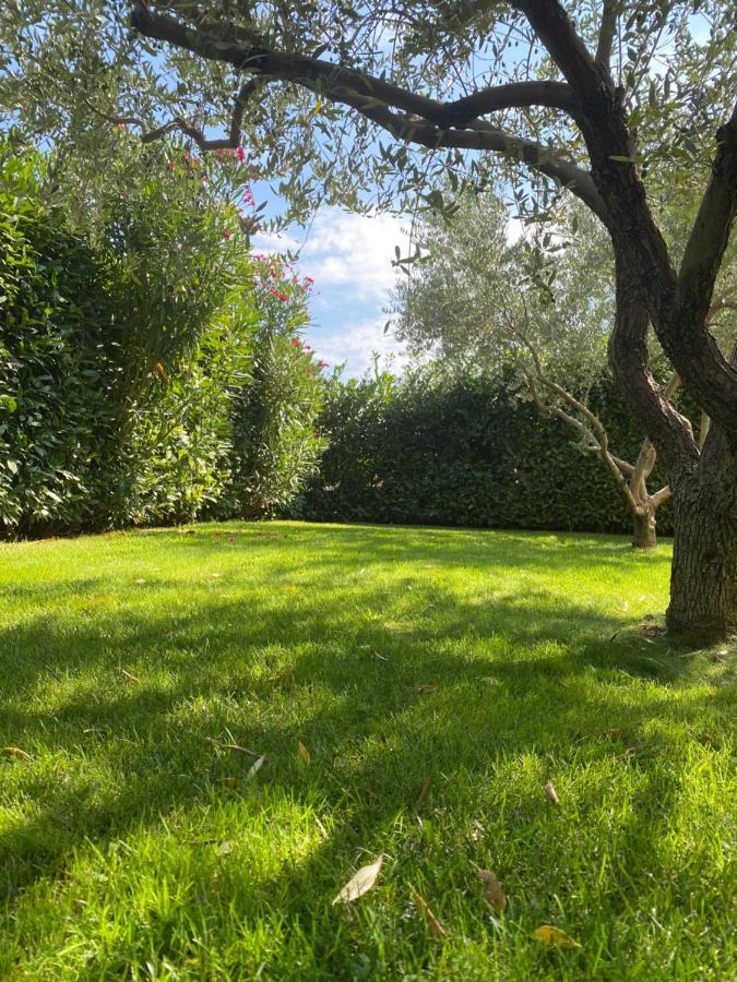 Villa Eva Karigador Novigrad Istria Exteriör bild