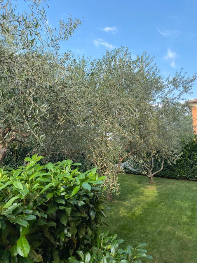 Villa Eva Karigador Novigrad Istria Exteriör bild