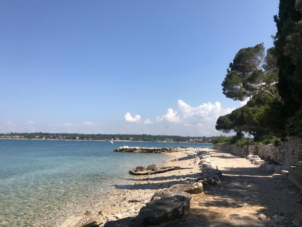 Villa Eva Karigador Novigrad Istria Exteriör bild