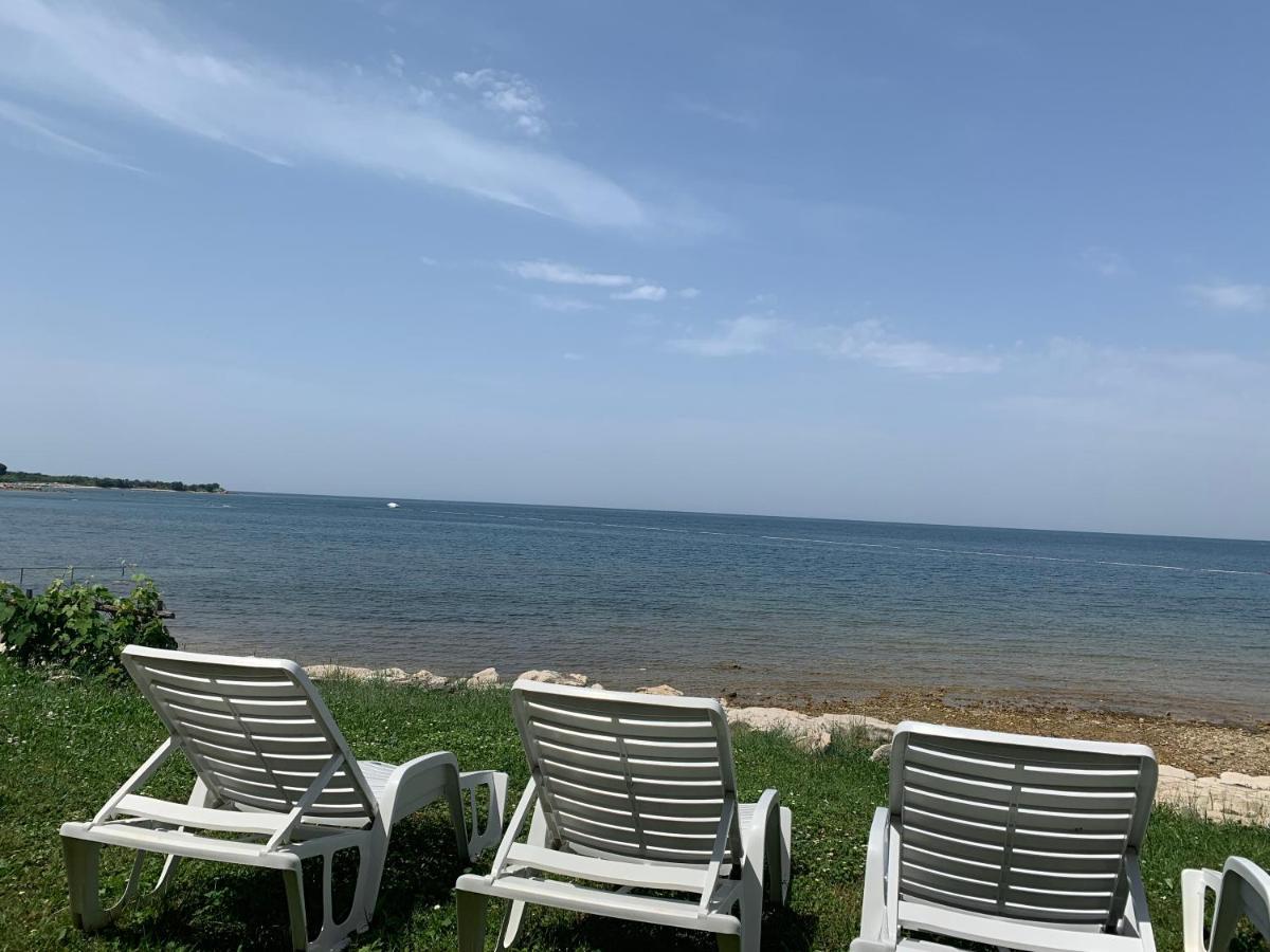 Villa Eva Karigador Novigrad Istria Exteriör bild